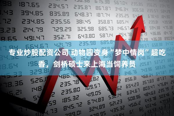 专业炒股配资公司 动物园变身“梦中情岗”超吃香，剑桥硕士来上海当饲养员